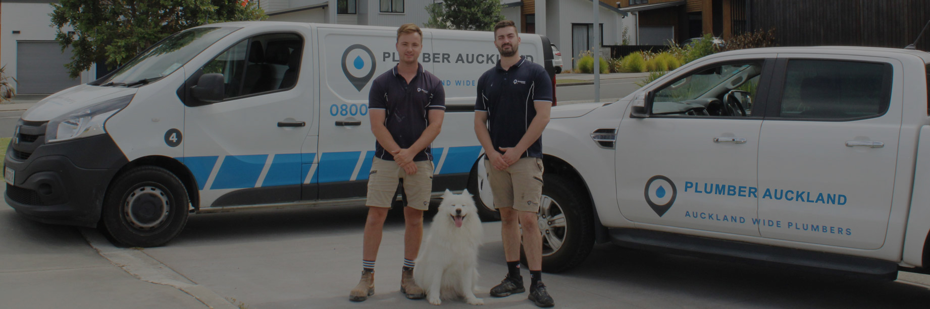 plumbing team in Auckland work location