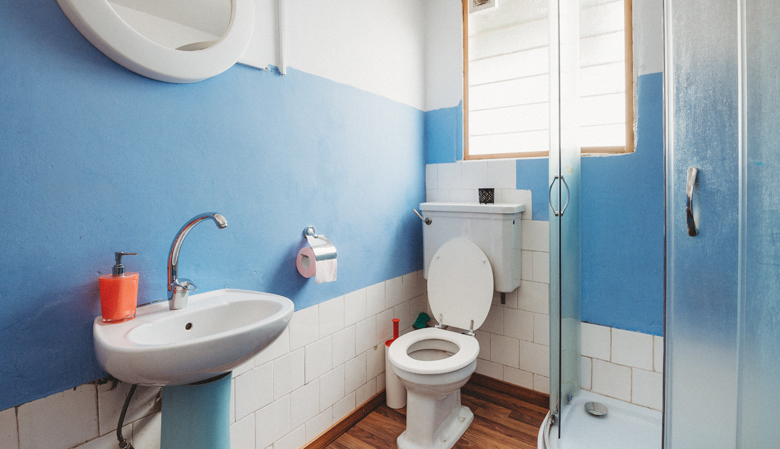 Tips to avoid toilet problems