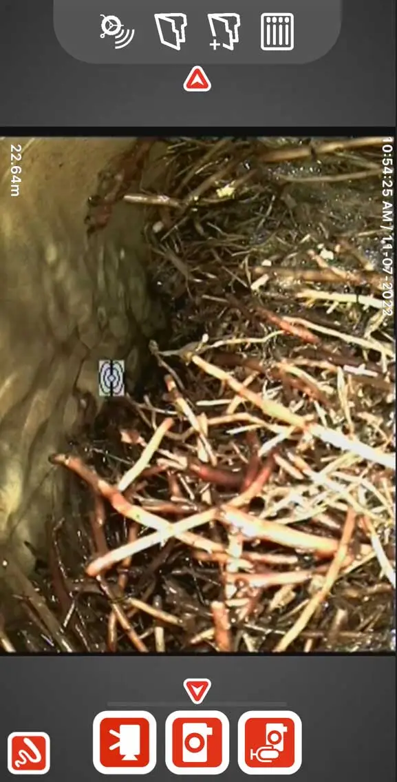 cctv view of drain line blocked with tree roots